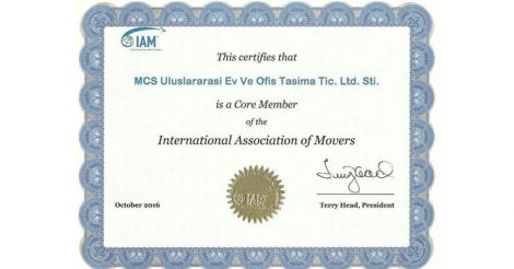 MCS Logistic International Movers