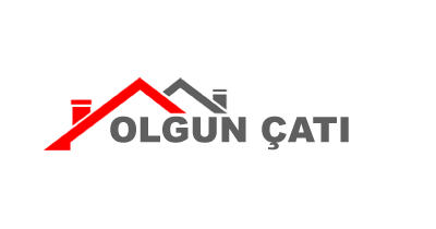 Olgun Çatı