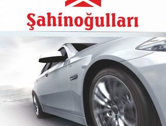 Şahinoğulları