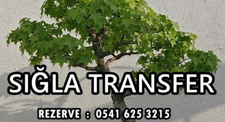 Sığla Transfer