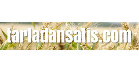 Tarladan Satış | tarladansatis.com