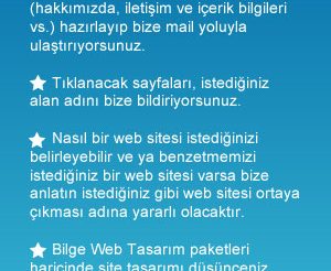 Bilge Web Tasarım
