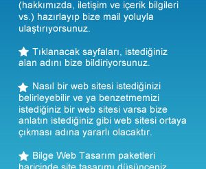 Bilge Web Tasarım