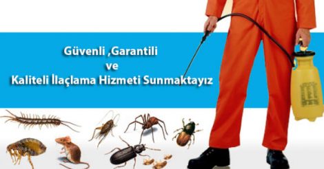 İstanbul WestPest Böcek İlaçlama