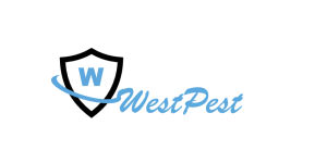 İstanbul WestPest Böcek İlaçlama