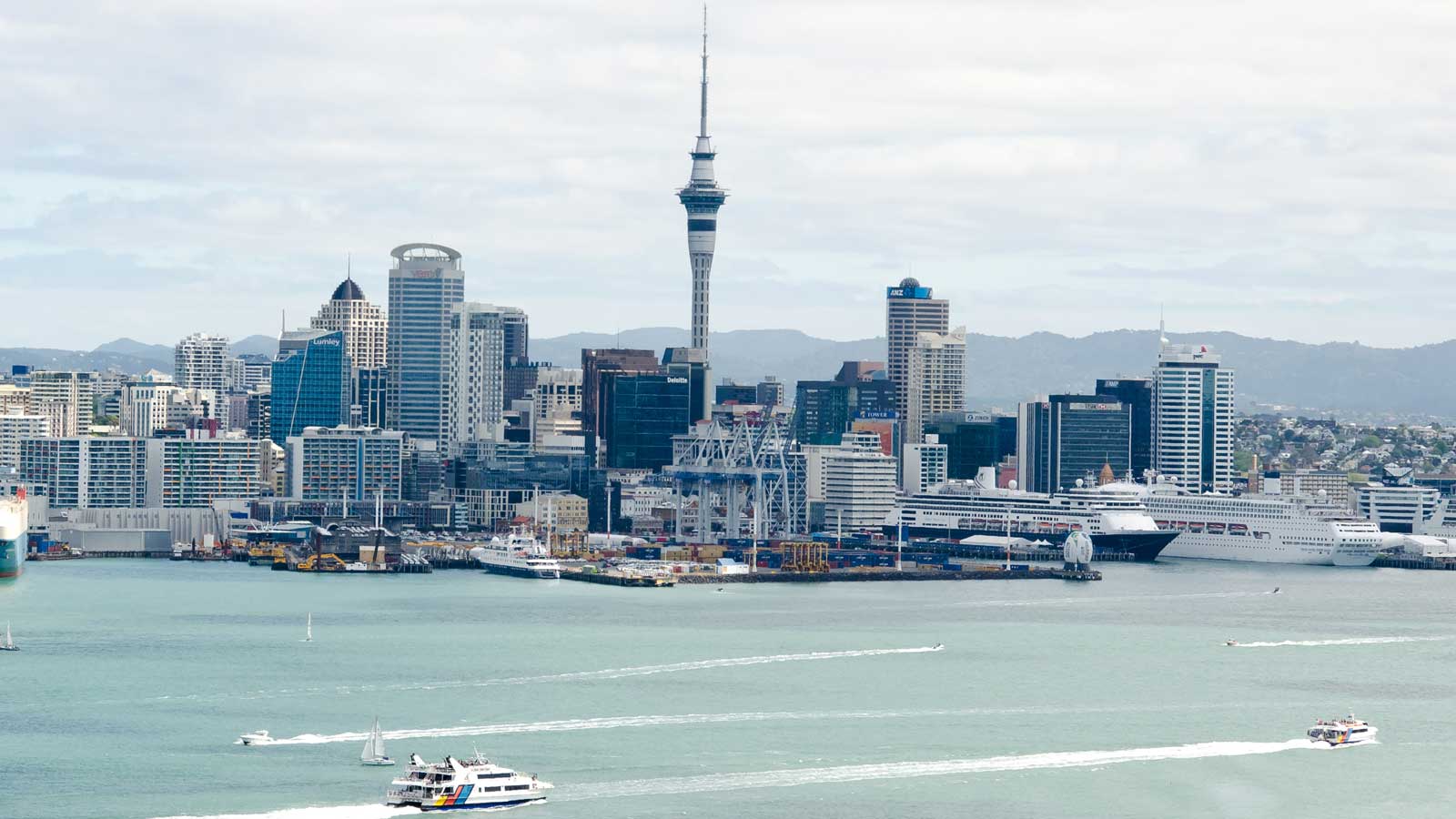 Auckland'daki Türk Firmaları