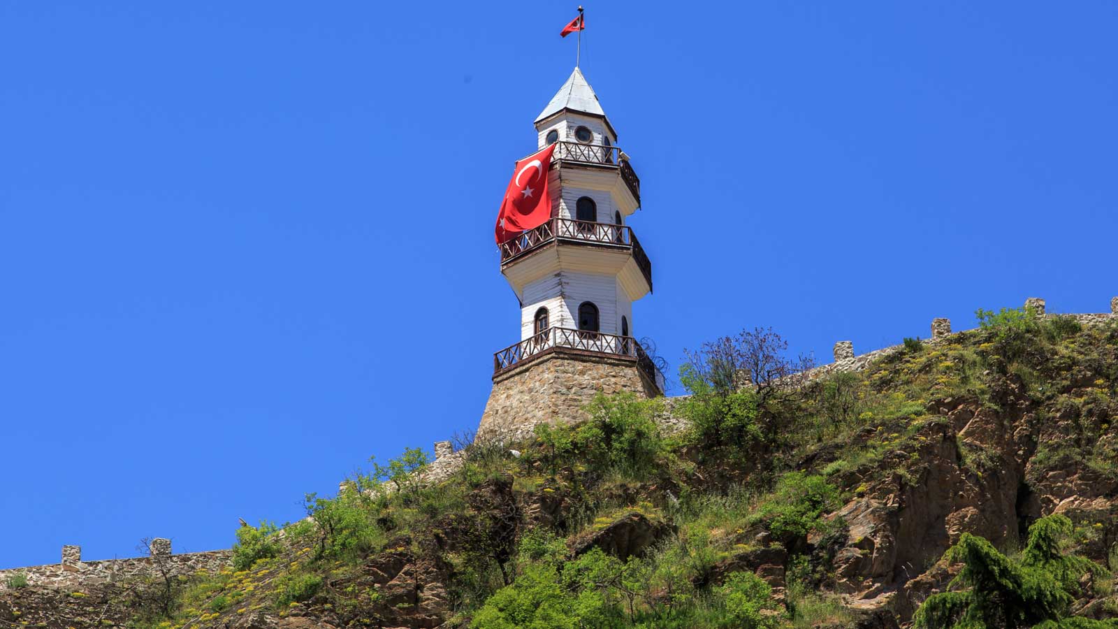 Bolu Firma Rehberi