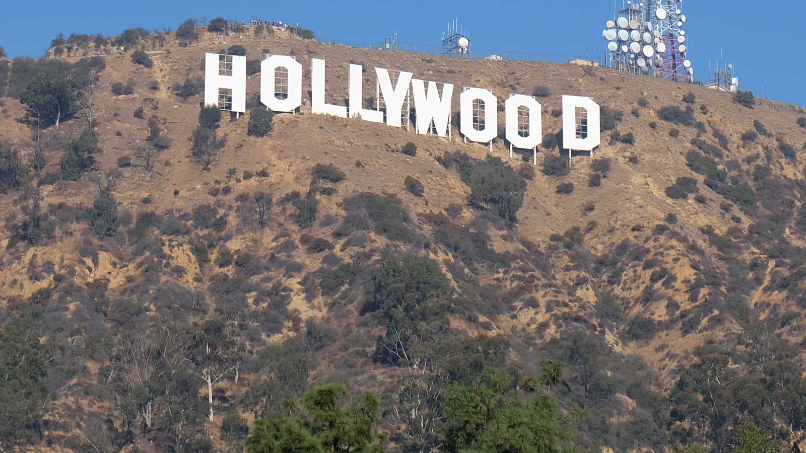 Hollywood'daki Türk Firmaları