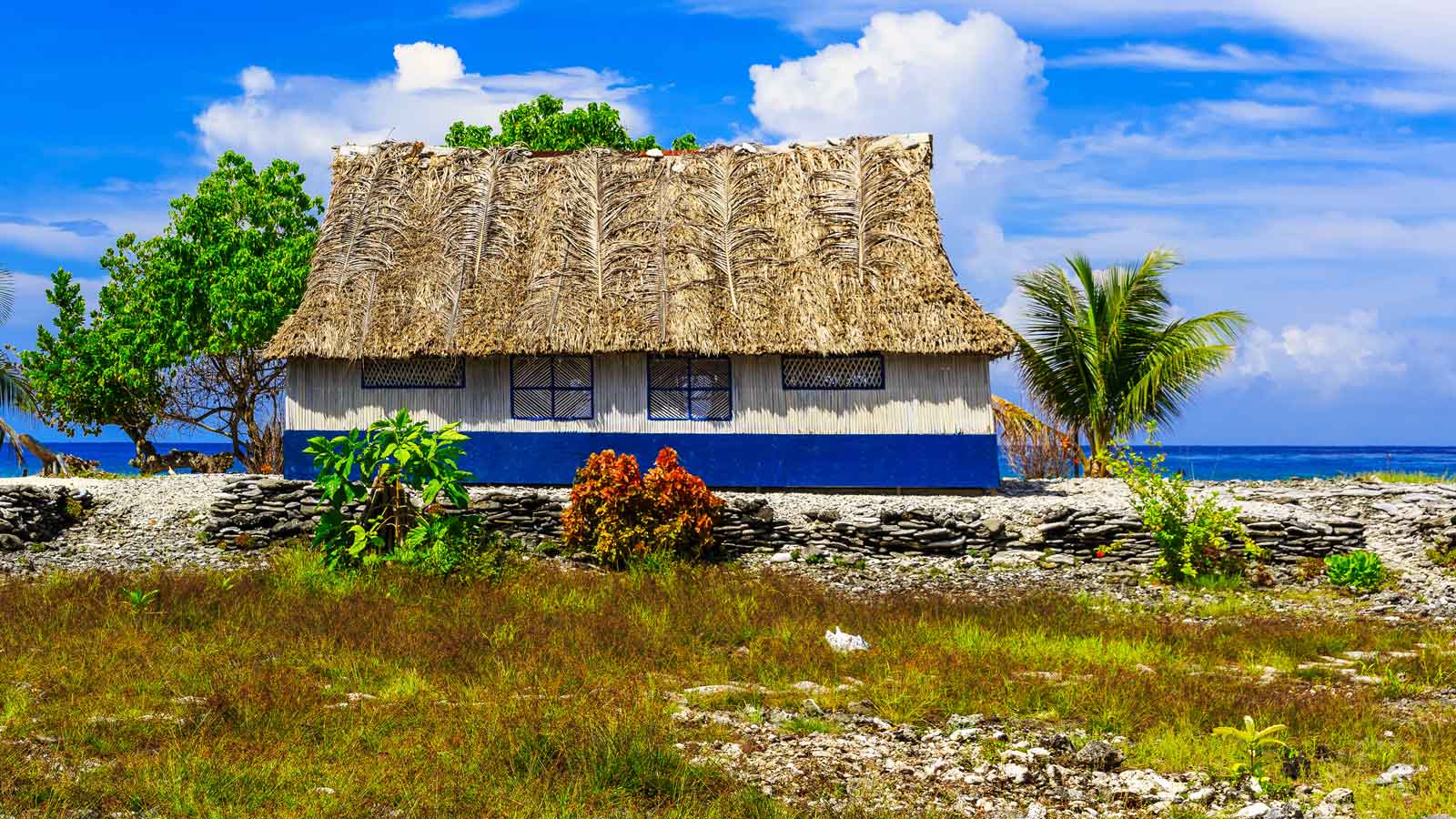 Kiribati'deki Türk Firmaları