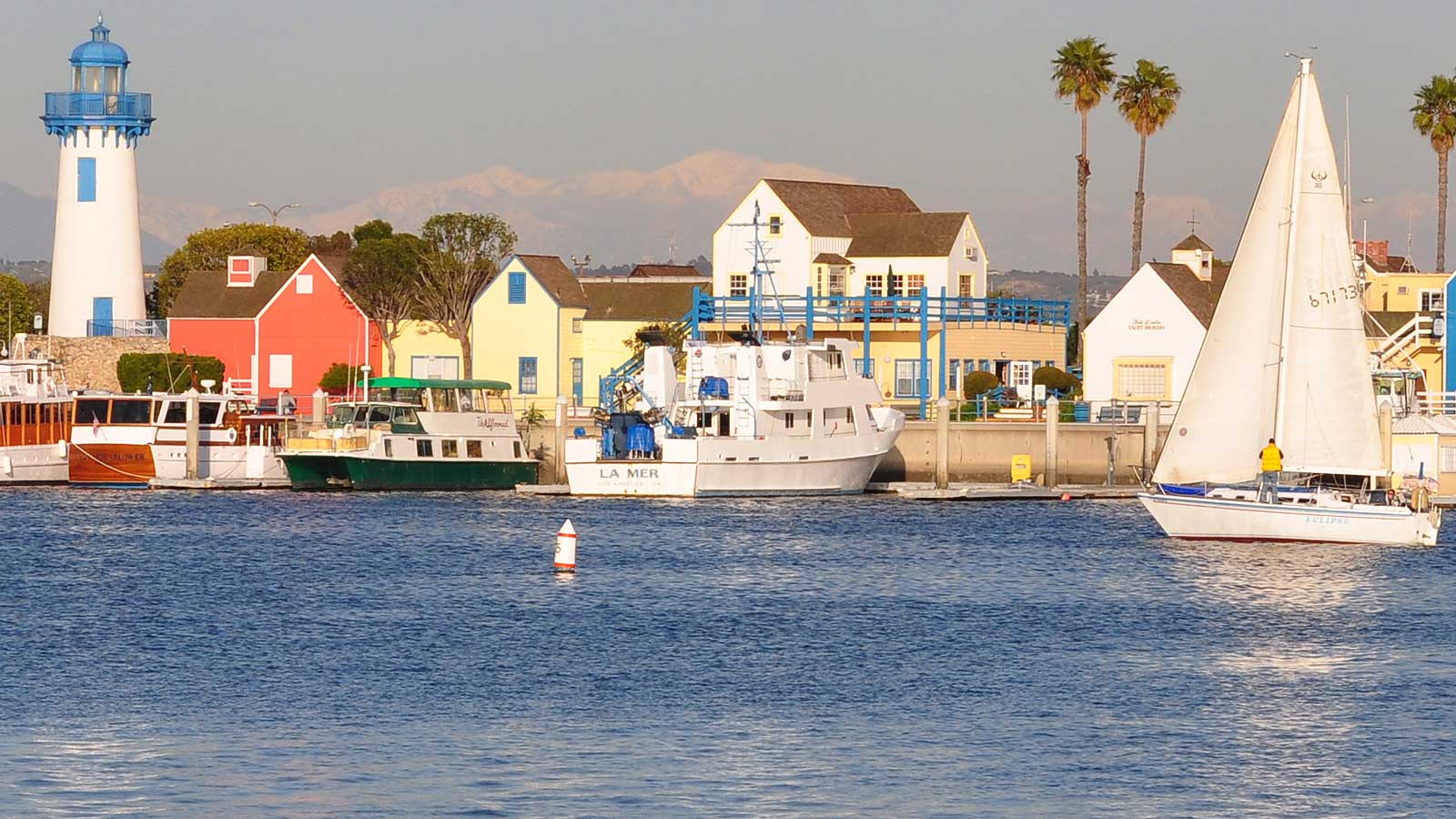 Marina del Rey'deki Türk Firmaları