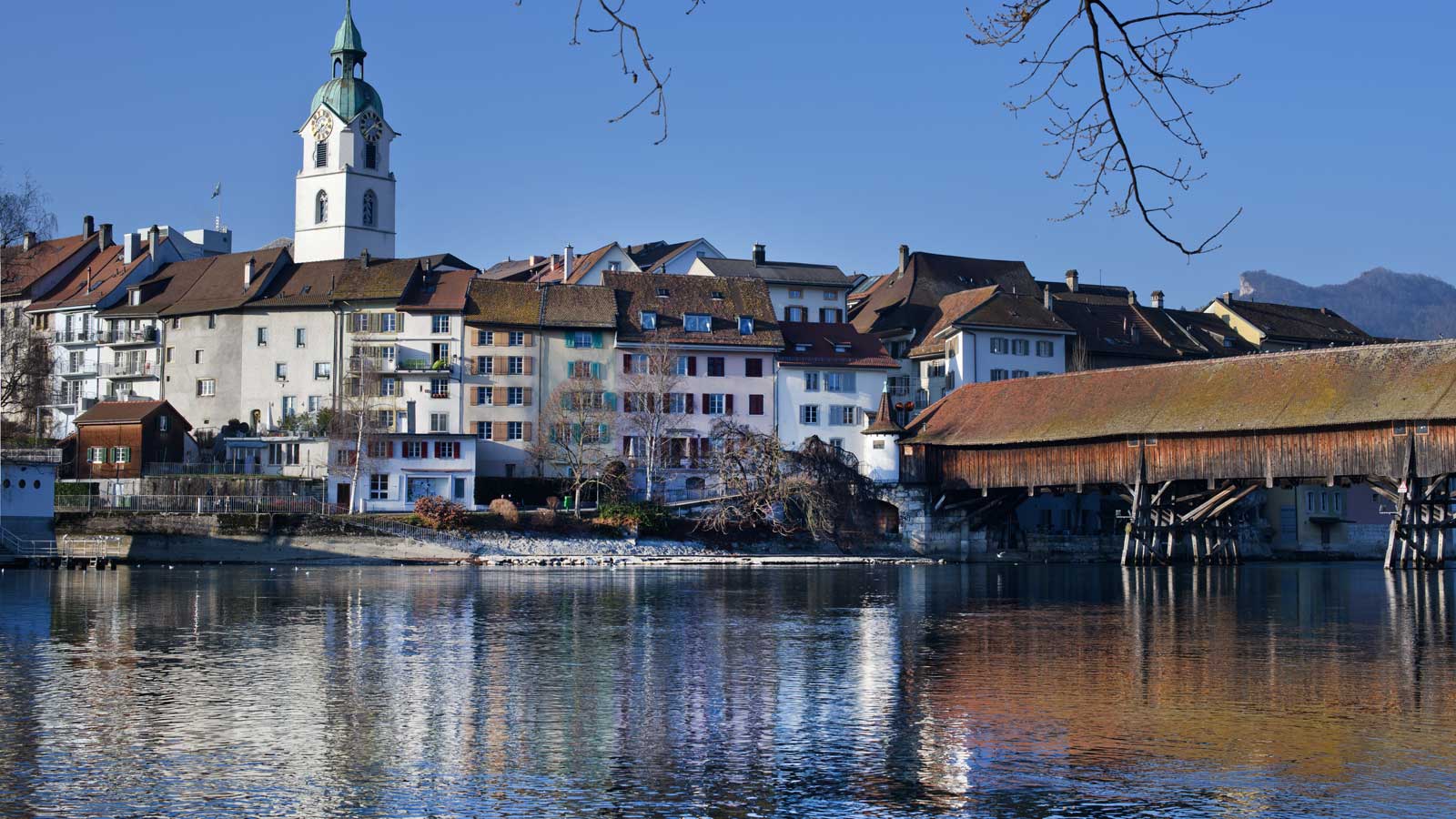 Olten'deki Türk Firmaları