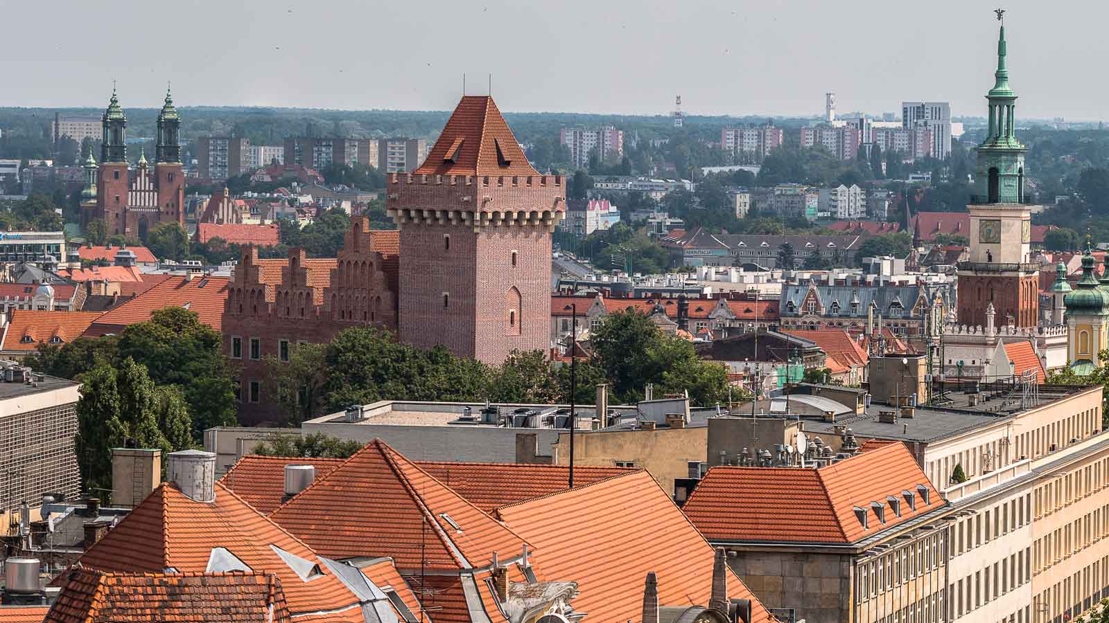 Poznan'daki Türk Firmaları