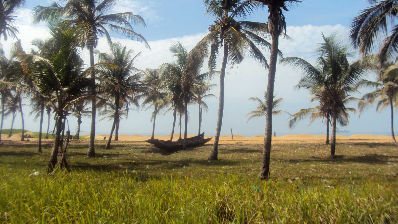 Togo'daki Türk Firmaları