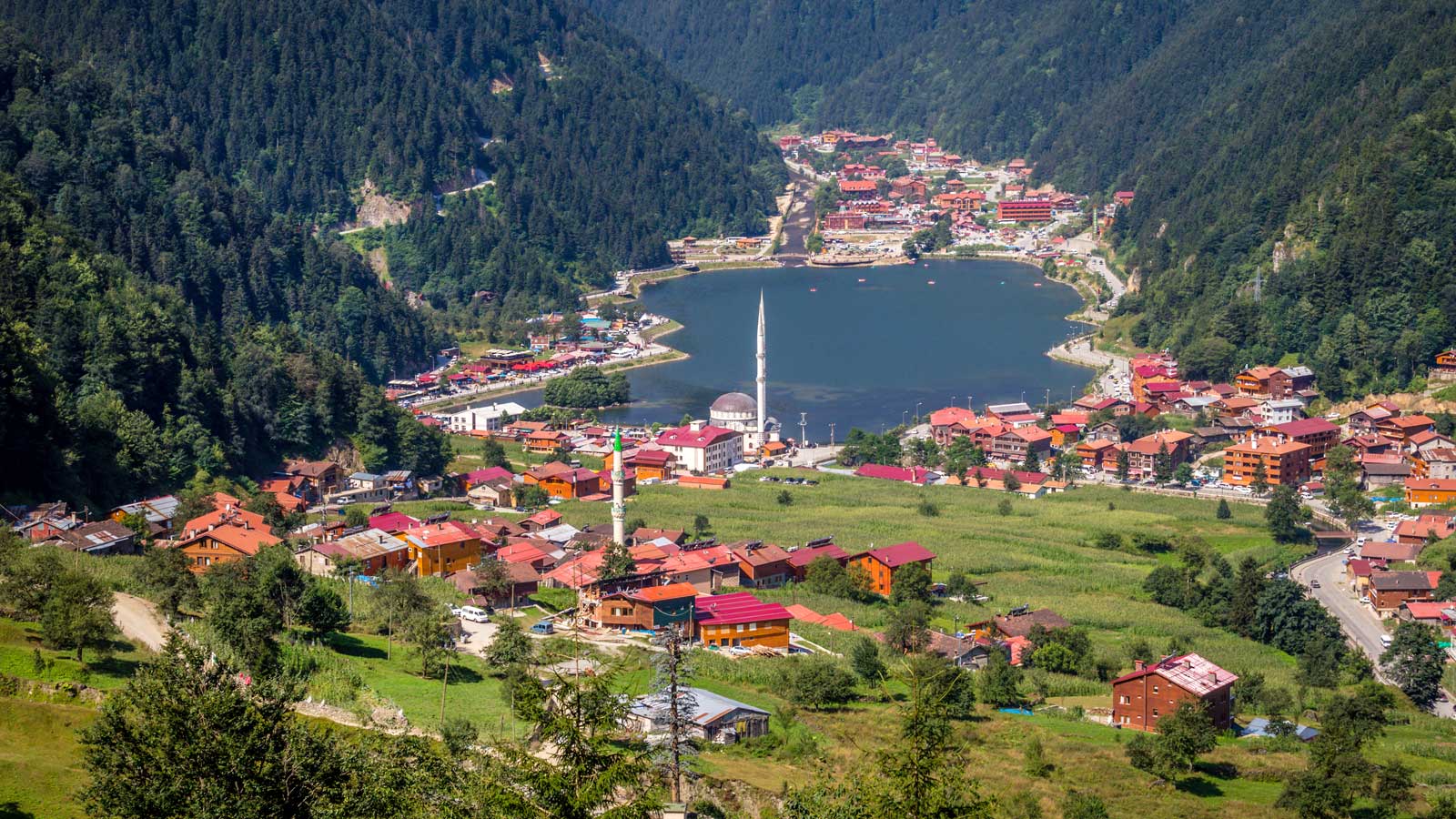 Trabzon Firma Rehberi