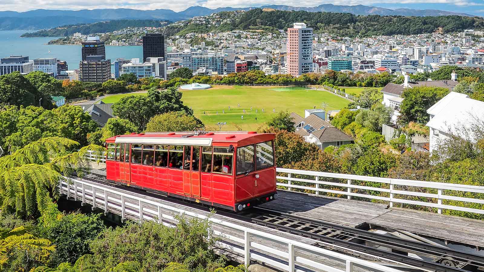 Wellington'daki Türk Firmaları