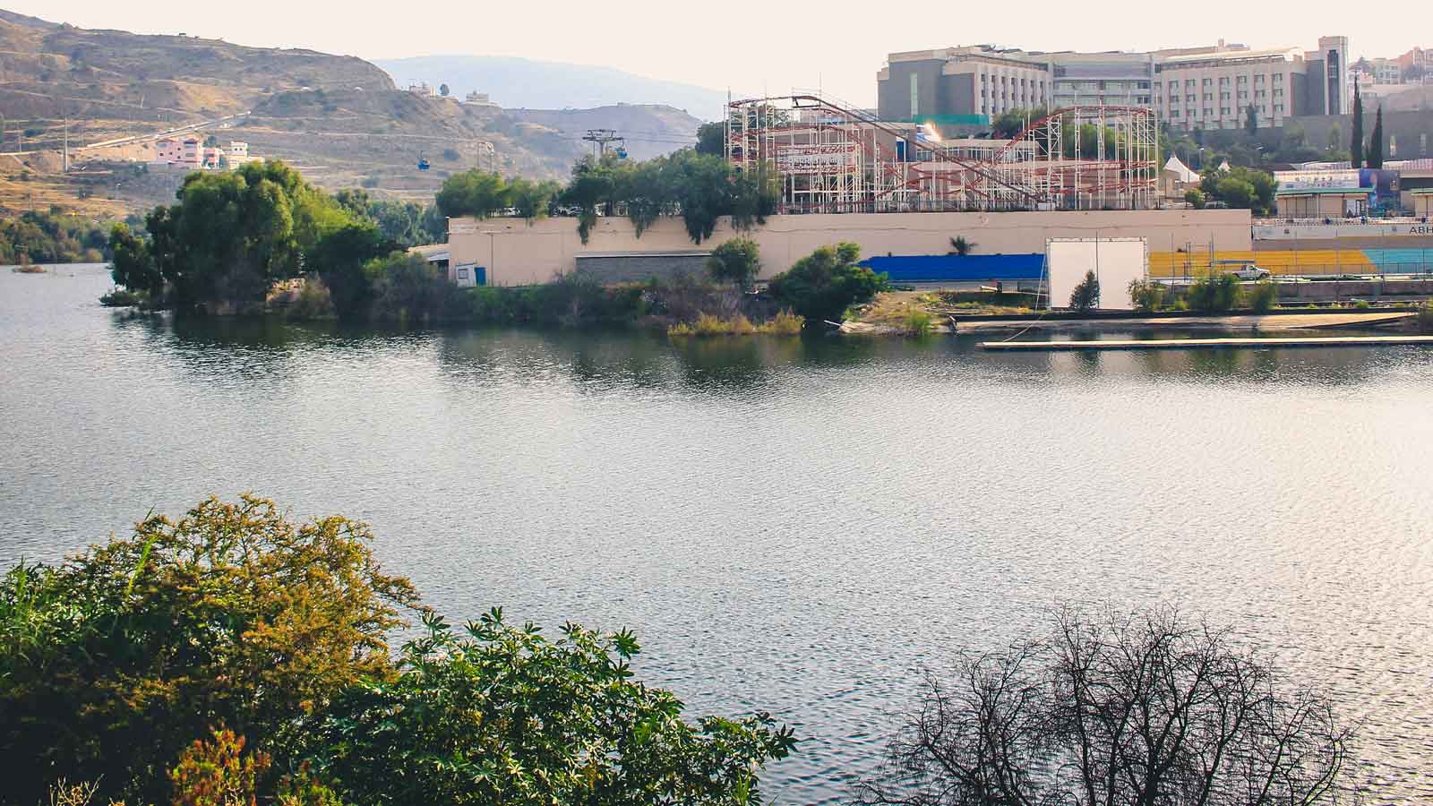 Abha'daki Türk Firmaları
