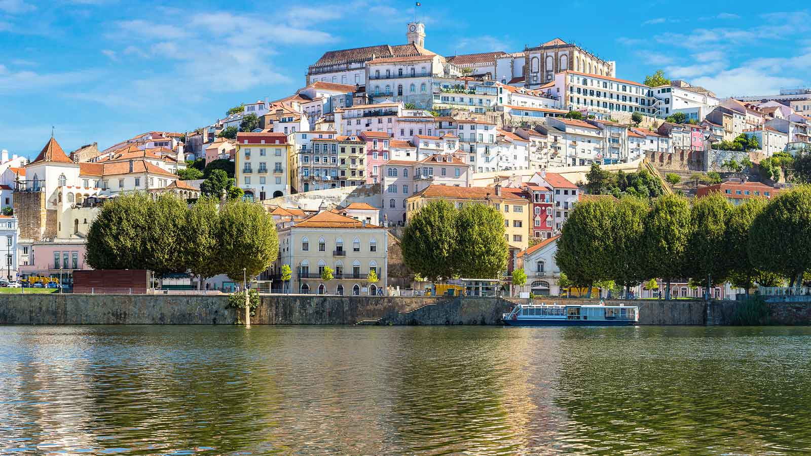 Coimbra'daki Türk Firmaları