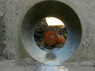 Diriliş Karot