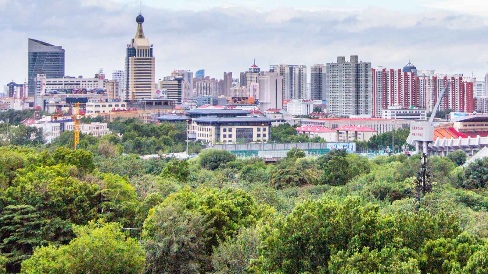 Jinan'daki Türk Firmaları