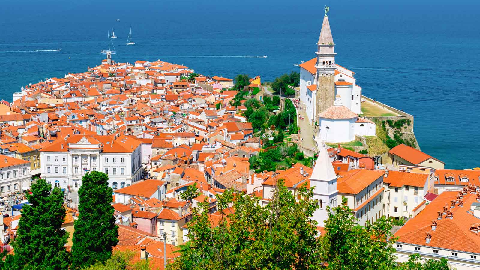 Piran'daki Türk Firmaları