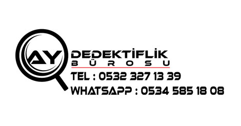 Ay Dedektif