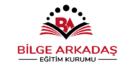 Bilge Arkadaş Eğitim