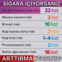 Biorezonans Mora Terapi | Pendik Sigara Bırakma Merkezi