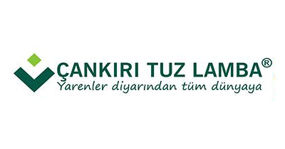 Çankırı Tuz Lamba