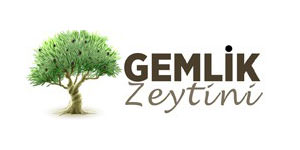 Gemlik Zeytini | Bağışıklık Güçlendirici Zeytinyağı ve Zeytin