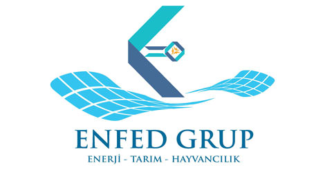 Enfed Grup Enerji Tarım Hayvancılık