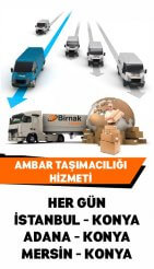 Birnak Lojistik Kargo Ambar Dağıtım ve Depolama Ltd. Şti.