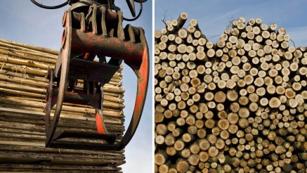 Rusya'da Türk Orman Ürünleri Firmaları