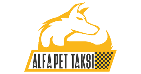 Alfa Pet Taksi | Pet Nakil Hizmetleri