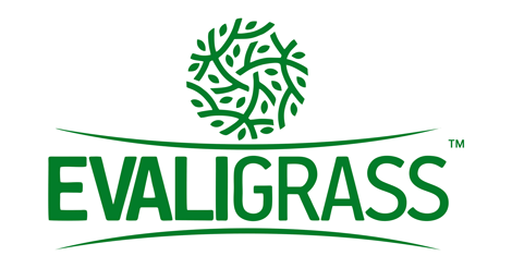 EvaliGrass | Grass Fence Manufacturer