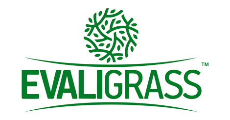 EvaliGrass | Suni Duvar Çimi