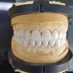 Era Dental Özel Diş Laboratuvarı