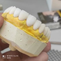 Era Dental Özel Diş Laboratuvarı