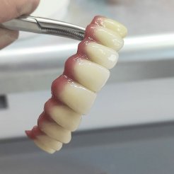 Era Dental Özel Diş Laboratuvarı