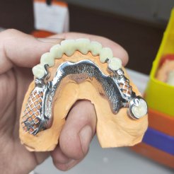 Era Dental Özel Diş Laboratuvarı