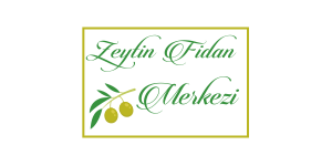 Akhisar Zeytin Fidan Merkezi