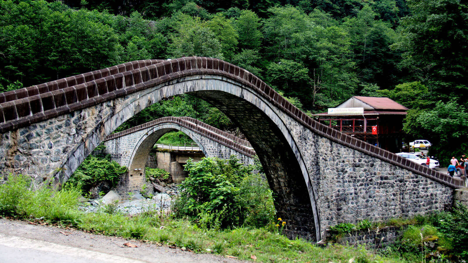 Artvin Firma Rehberi