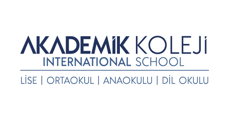 Bursa Akademik Koleji