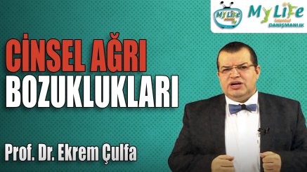 Prof. Dr. Ekrem Çulfa | Family Marriage Couple Therapist