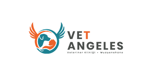 Vet Angeles