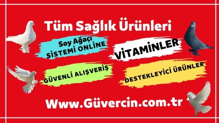 Güvercin İlaçları | Güvercin Ekipmanları | Güvercin Hastalıkları ve Tedavisi