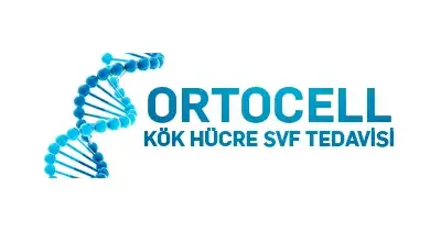 Ortocell | Kalça Kireçlenmesi ve Avasküler Nekrozda Ameliyatsız Tedavi Uzmanlığı