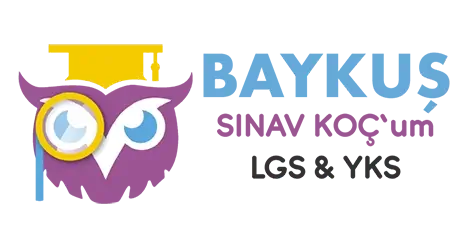 Baykuş Koç