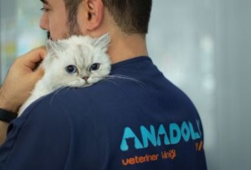 Anadolu Veteriner Kliniği | 24 Saat Nöbetçi Veteriner