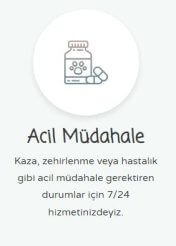 Anadolu Veteriner Kliniği | 24 Saat Nöbetçi Veteriner