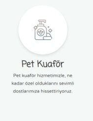 Anadolu Veteriner Kliniği | 24 Saat Nöbetçi Veteriner